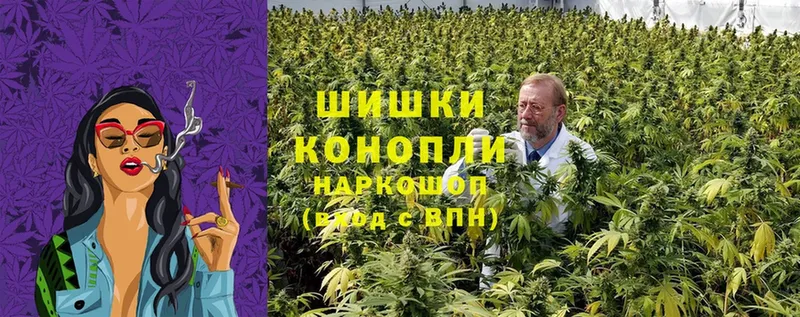 мега ссылка  Балей  Шишки марихуана White Widow 